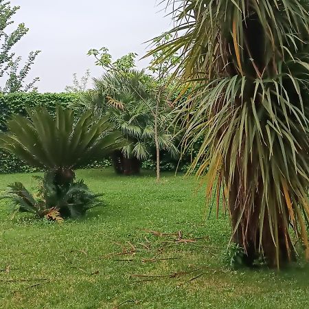 Villa Marano Caianello Vecchio Bagian luar foto